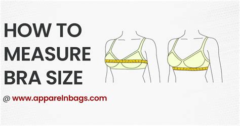Accurate Bra Size Chart Measurements Guide Apparelnbags