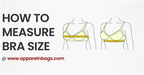 Accurate Bra Size Chart Measurements Guide ApparelnBags