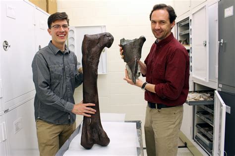 First Dinosaur Fossil Found In Washington State Kuow News And Information