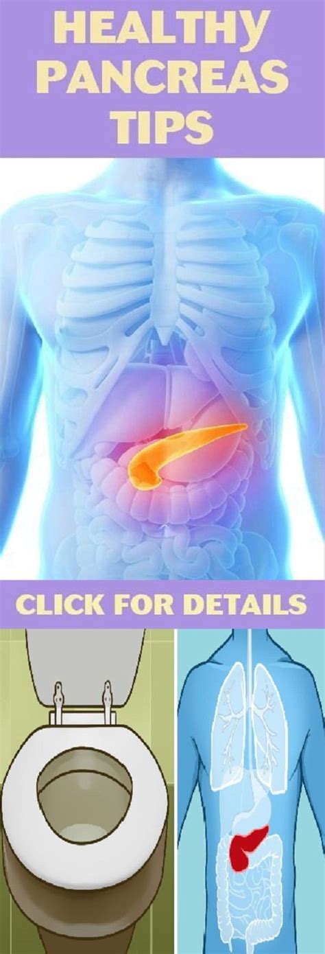 Signs Of Pancreatic Problems And Home Remedies To Treat An Ailing
