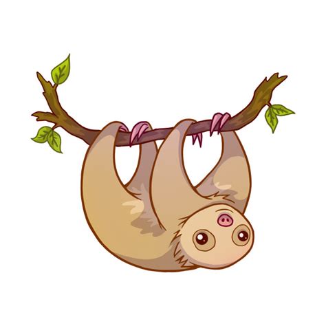 Three Toed Sloth Clipart At Getdrawings Free Download