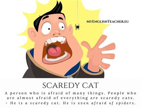 Scaredy Cat Meaning And Who Is A Scaredy Cat Myenglishteachereu Blog