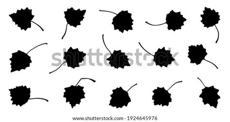 Various Bigtooth Aspen Leaf Silhouettes On Stock Vector Royalty Free