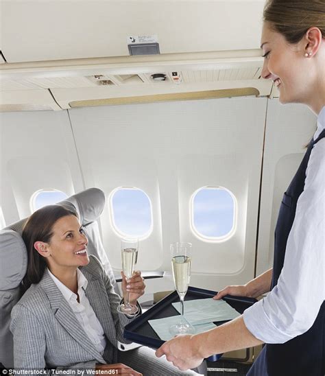 The Top Ten Most Bizarre Flight Requests By Passengers Daily Mail Online