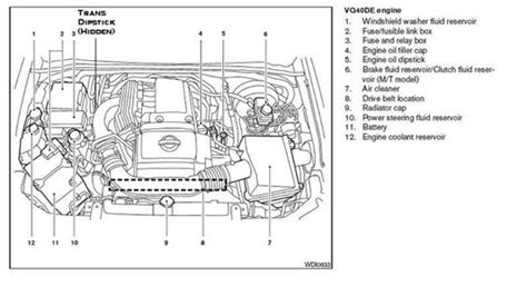 Serpentine belt diagram for 2005. SOLVED: My nissan frontier 2005 light came on it says this - Fixya