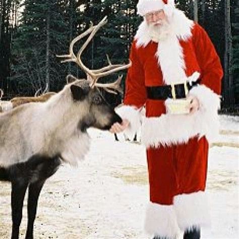 Santa And Rudolph Santas Reindeer Santa Reindeer Reindeer Photo