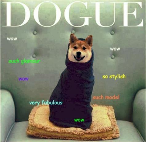 Doge The Best Of The Doge Meme This Is The Best Doge Meme Ive Ever