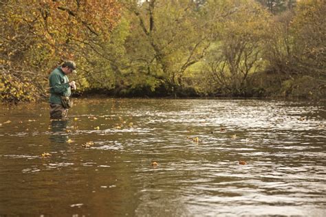 Coarse Fishing In Wales Overview Fishing In Wales