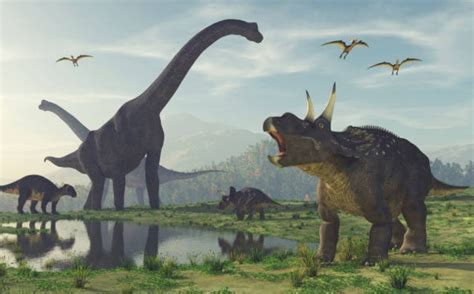 Травоядные динозавры динозавры вегетарианцы