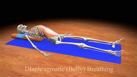 Abdominal Breathing Exercise Video