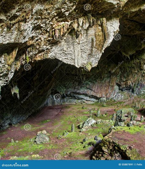 Cave With Moss Covered Stalactites And Stalagmites Stock Image Image