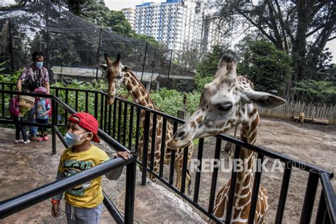 Kebun Binatang Bandung Dibuka Kembali Republika Online