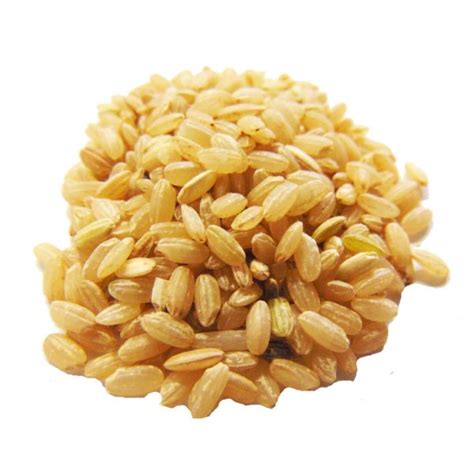 Organic Brown Rice Short Grain Your Health Food Store And So Much