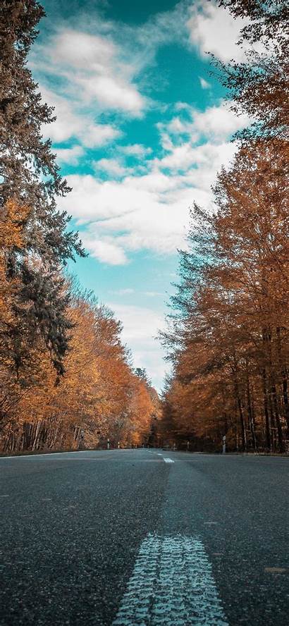 4k Iphone Ultra Road Wallpapers Autumn Forest