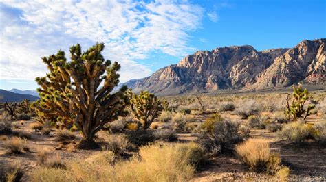 Arizona Vs Nevada Wheres Better To Retire