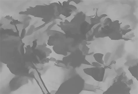 5 out of 5 stars. Watercolor Background Gray Free Stock Photo - Public ...