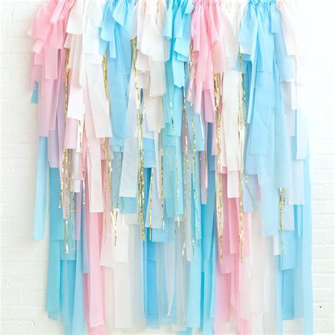 Maybe you would like to learn more about one of these? Oh Baby Streamer Fringe Backdrop Kit - Gender Reveal Party Decorations - Pastel Pink and Blue ...