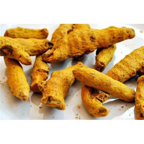 Turmeric Finger At Rs 95 Kilogram Coimbatore ID 13719711930