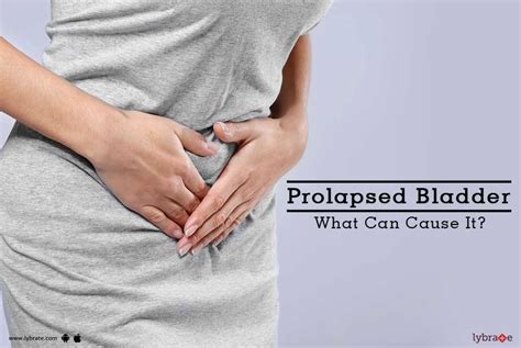 Prolapsed Bladder What Can Cause It By Dr Sudin S R Lybrate