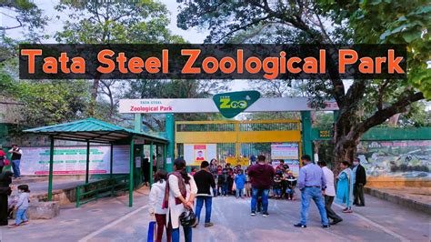 Tata Steel Zoological Park Jamshedpur Zoologicalpark Youtube