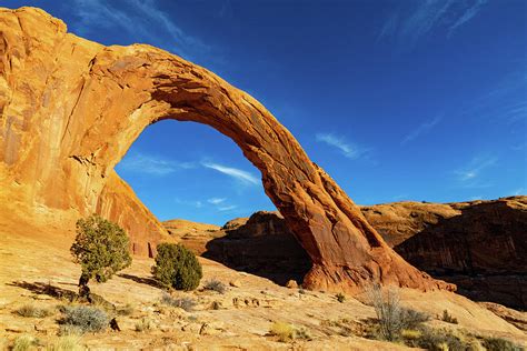 Corona Arch Photograph By James Marvin Phelps Fine Art America