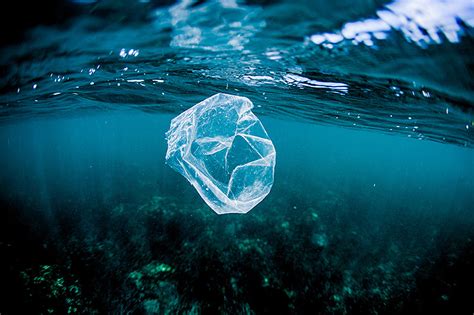 Der Kampf Gegen Plastikmüll Im Meer Newsorfat