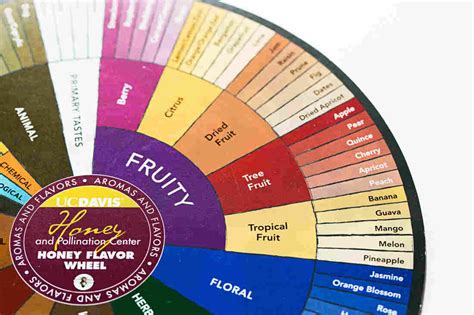 Sensory Scientist Wants To Reinvent The Flavor Wheel The Salt Npr