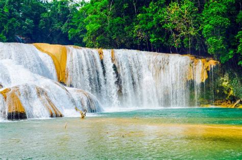 Agua Azul Waterfalls Chiapas Mexico Stock Photo Image Of Nature