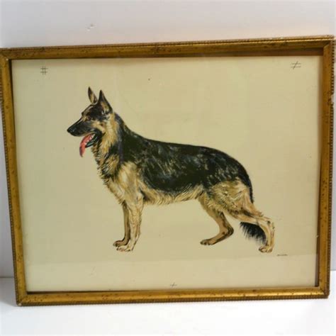 Original Vintage Etching Of German Shepherd Dog A Dogs Tale