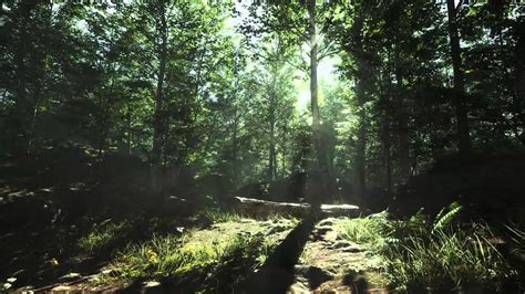 Unreal Engine 4 Forest Day Tech Demo Youtube