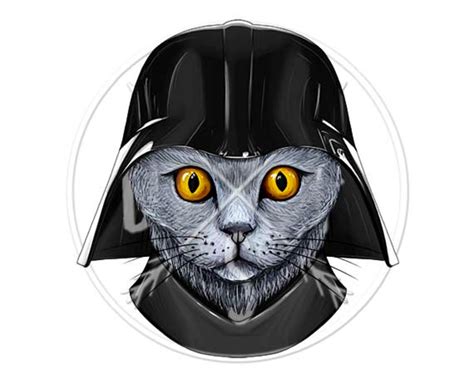 Darth Vader Helmet Star Wars Cat Dark Lord Pet Digital Etsy