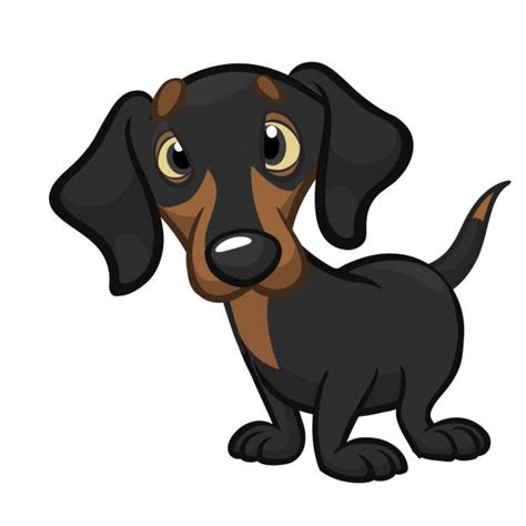 Clip Art Of Dachshunds Illustrations Royalty Free Vector Graphics