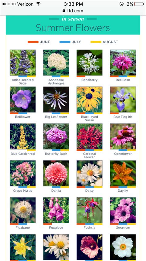 Perennial Plants Examples With Names Myplant