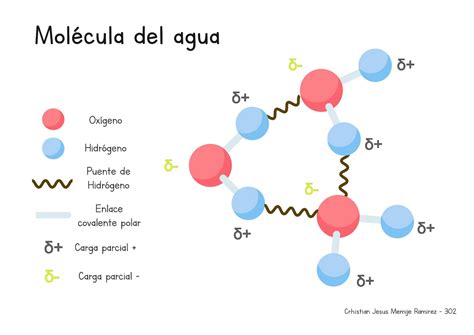 Esquema Molecula Del Agua Y Conceptos Una Molécula Es Un Grupo
