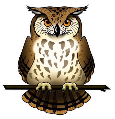 Owl Vector Bird Background Graphic Png And Vector With Transparent My