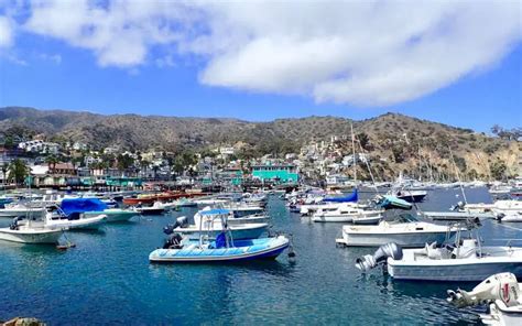 Catalina Island · Usa · Port Schedule Cruisedig
