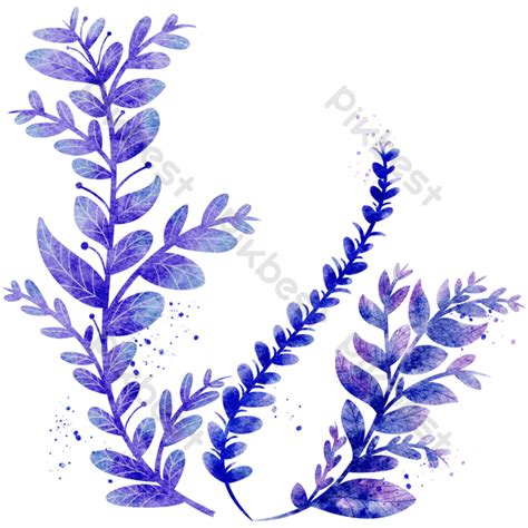 Watercolor Vintage Blue Plants Png Images Psd Free Download Pikbest