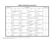 Transcription is the transfer of genetic information from (a) dna to rna (b) dna to mrna (c) mrna to trna (d) trna to mrna. Transcription and Translation key - Transcription and ...