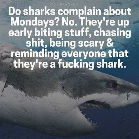Check out all our blank memes. Pin by Katrina Marie on Quotes | Monday inspiration, Shark week
