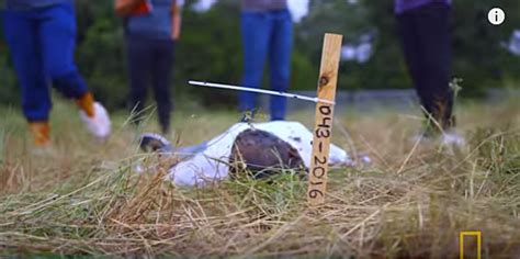check out the body farm at freeman ranch in san marcos