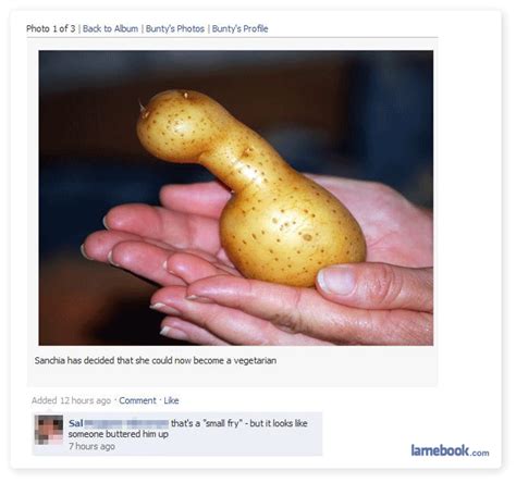Lamebook Funny Facebook Statuses Fails Lols And More The Original Mr Potato Head
