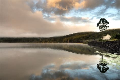 Tree Mist Morning Mist Rising Over Lake Baroon Dale Wants A Better