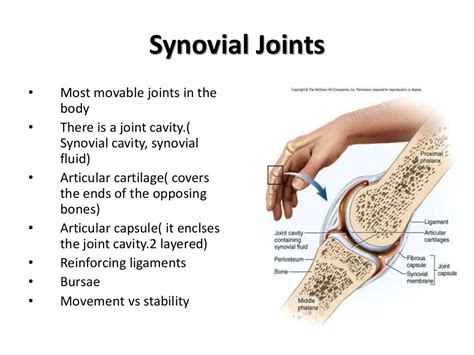 Arthrology