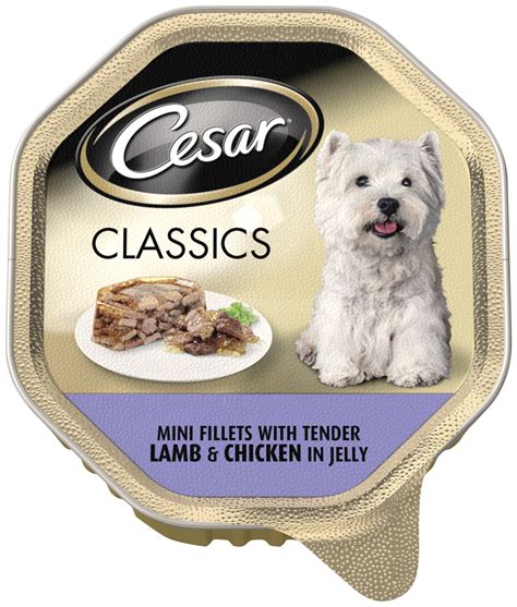 We did not find results for: Cesar Dog Food Alutrays - Viovet
