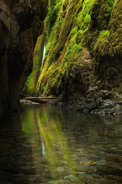 Fleischerfoto Usa Oneonta Gorge Columbia River Gorge Oregon