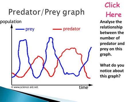 Predator Prey And Populations