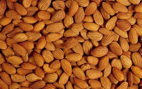 Almond Full Hd Wallpaper And Background 2560x1600 Id367275