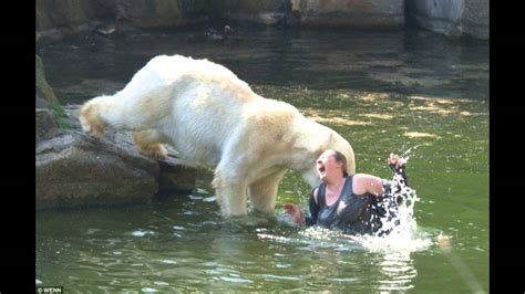 Polar Bear Kills 4 People In Zoo Youtube