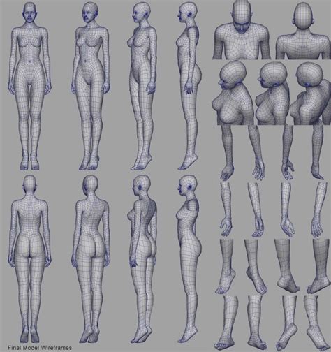 Free Stylized Anime Primitive Anatomy Stylized Female Anatomy Images