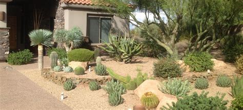 Phoenix Desert Landscaping Ideas